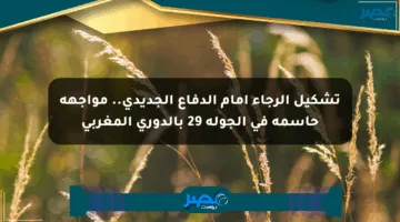 تشكيل الرجاء أمام الدفاع الجديدي.. مواجهة حاسمة في الجولة 29 بالدوري المغربي